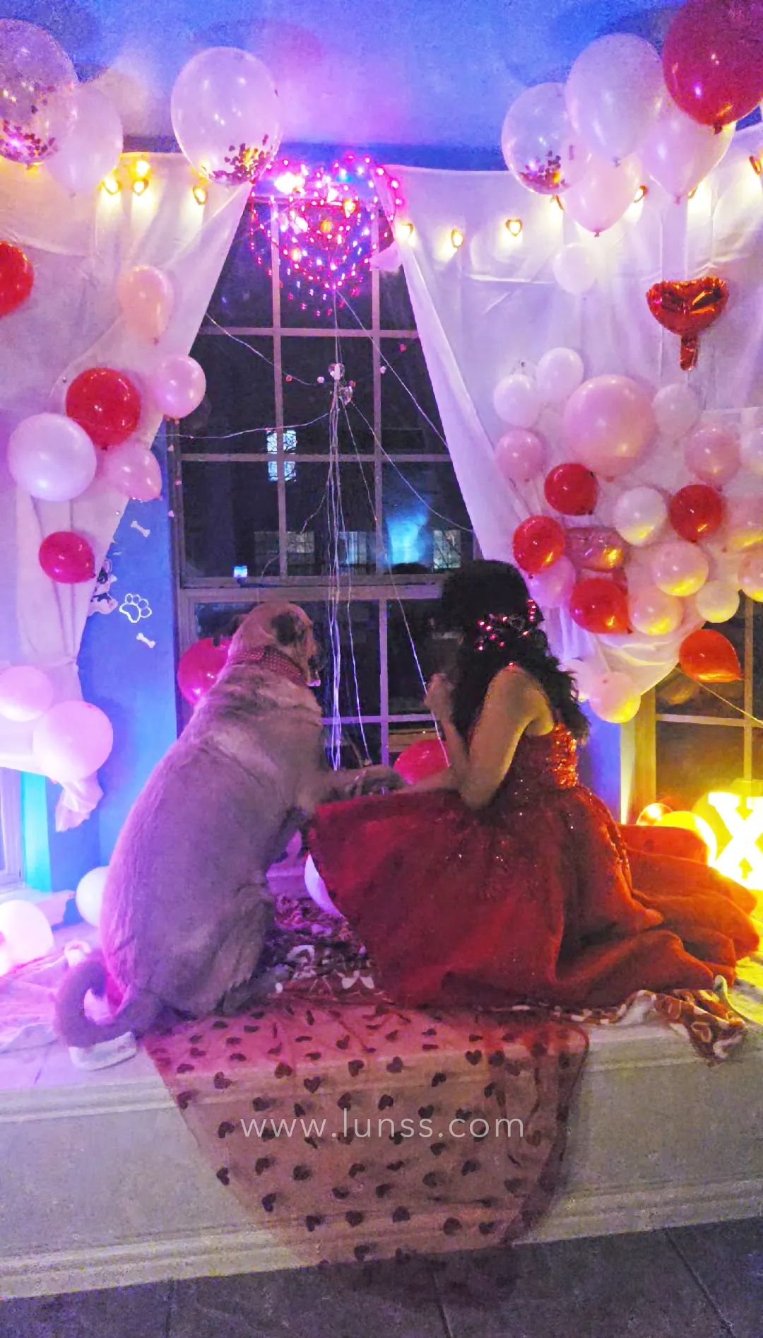 amazing dress and dog amazing dress and dog